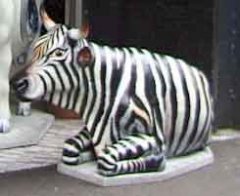 zebramuster.jpg