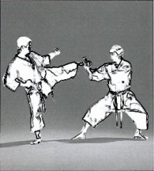 judo.jpg