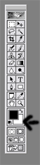 newbie.gif