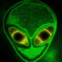 alienkopf.jpg
