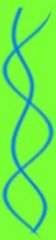 test.jpg