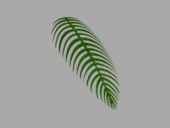palmenblatt_render.jpg