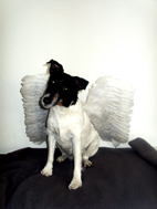 lucy2.JPG