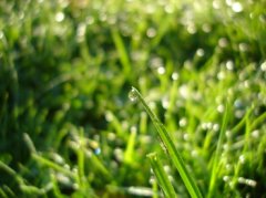 DSC00112.jpg