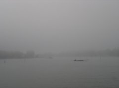 DSC00288.jpg