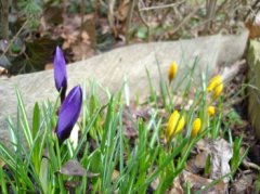 DSC01414.jpg
