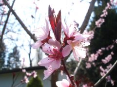 DSC01631.jpg