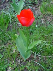 DSC01680.jpg