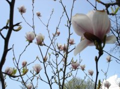 DSC01685.jpg
