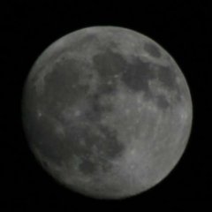 Mond.jpg