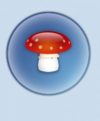 pilz.jpg