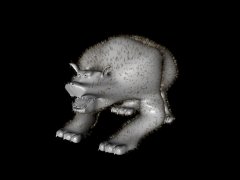 baer.jpg