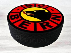 puck_on_ice.JPG
