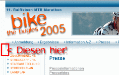 fehler.gif