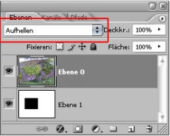 bild.jpg