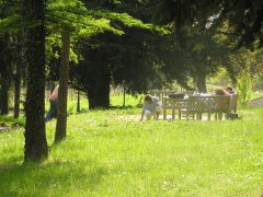 P4300106_klein2.jpg