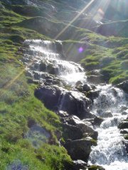 DSC00730.JPG