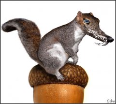 geho_scrat.jpg