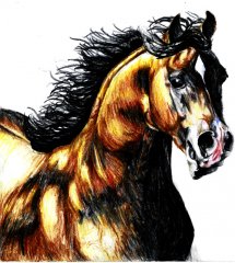 ed_logo_pferd.jpg