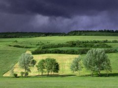 sturm.jpg