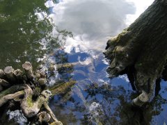 IMG_0476k.jpg