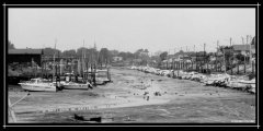 hafen.jpg