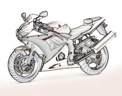 r6.jpg