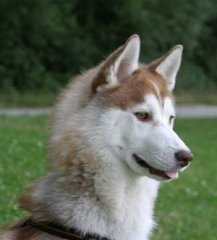 IMG_3262.jpg