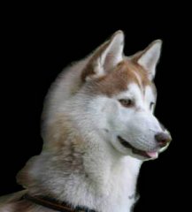 IMG_3262.jpg