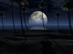 strandnacht_800x600.jpg
