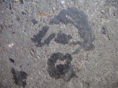 soulman-on-bitumen.jpg