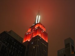 DSC01167.jpg