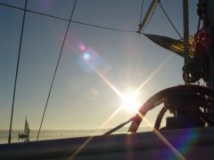 DSC00531.jpg