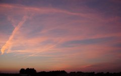DSC00161.JPG