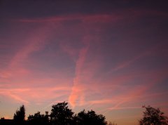 DSC00169.JPG