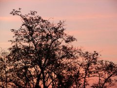 DSC00167.JPG