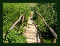 greenway2.jpg