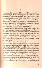 buchseite.jpg