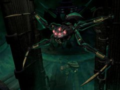 spider_hg_verbessert_kl_16.jpg