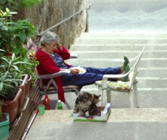 image1.jpg