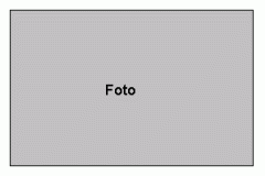 foto.gif