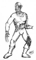 pic2.jpg