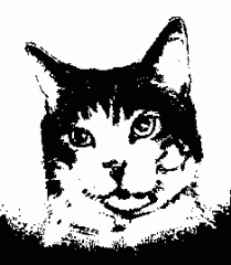 loewe.gif