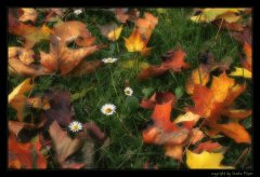IMG_2557.jpg