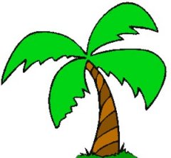 palme.jpg