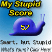stupid.gif