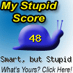 stupid.php.gif