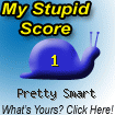 stupid.php.gif