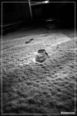 IMG_5504.jpg