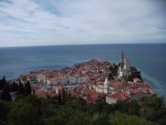 IMG_0166-2.jpg